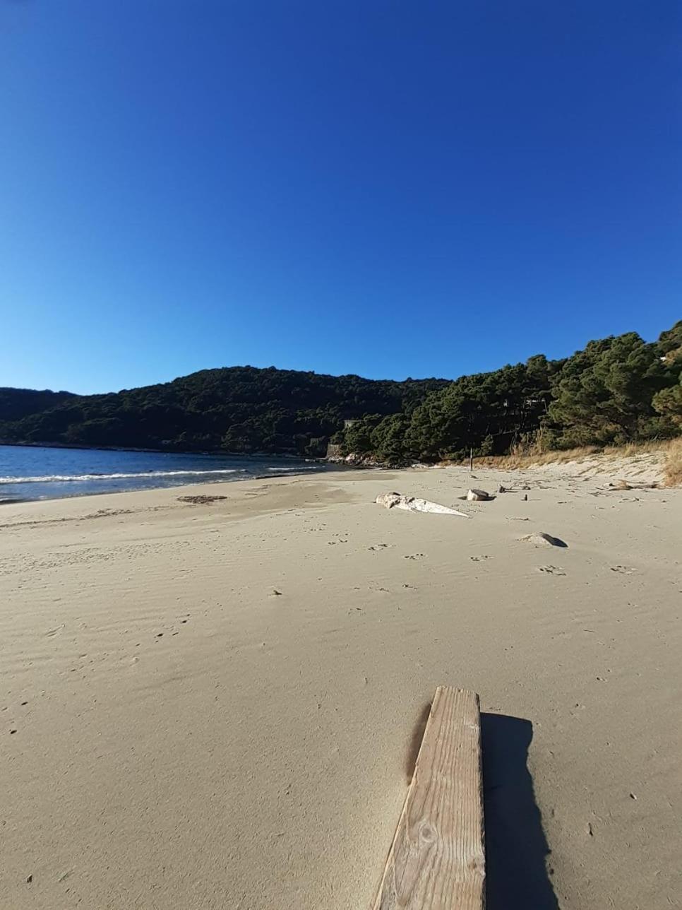 Apartment Nadine Mljet Mit Meerblick Okuklje Eksteriør bilde