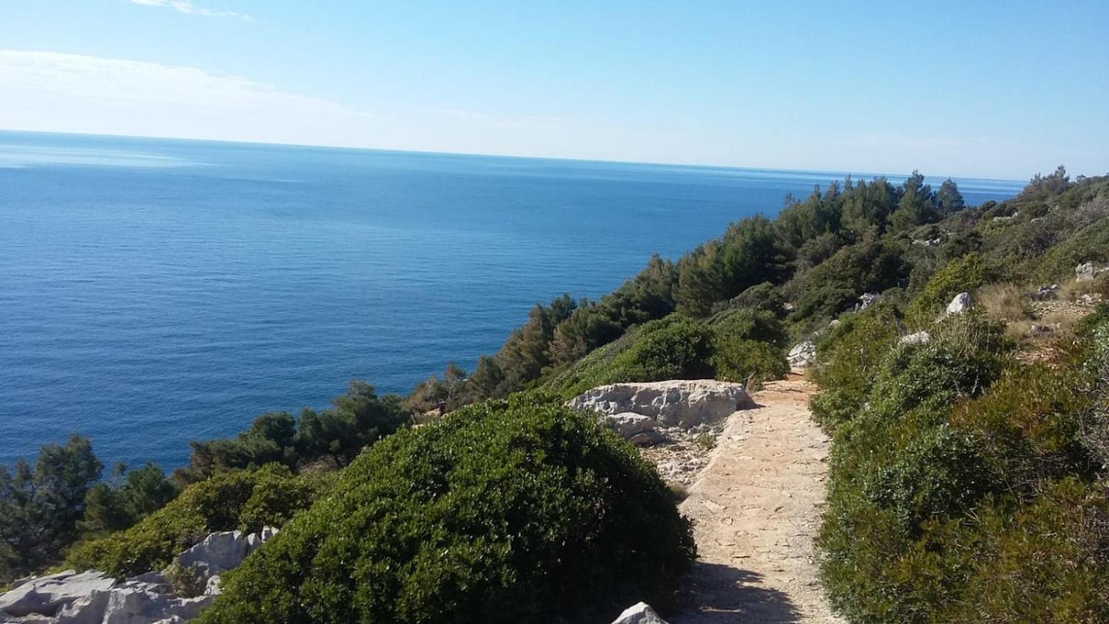 Apartment Nadine Mljet Mit Meerblick Okuklje Eksteriør bilde