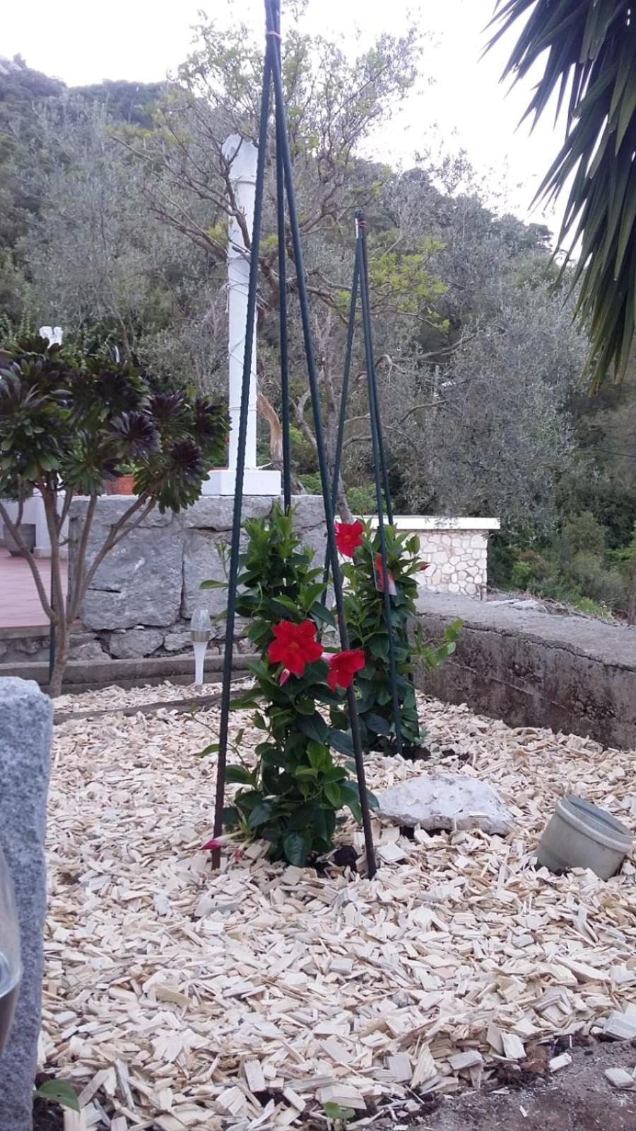 Apartment Nadine Mljet Mit Meerblick Okuklje Eksteriør bilde