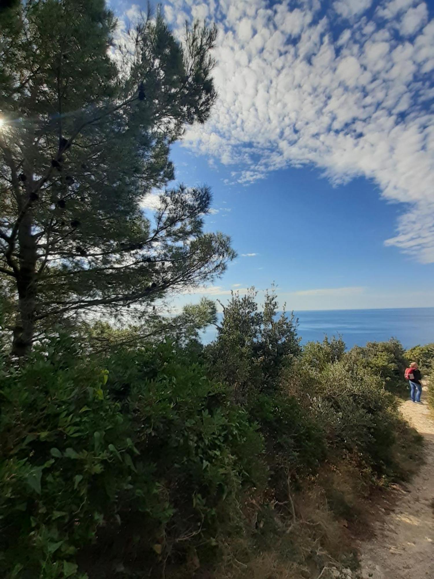 Apartment Nadine Mljet Mit Meerblick Okuklje Rom bilde